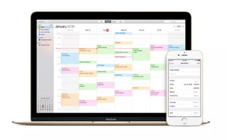 iCloud網頁版反垃圾功能上線 信息處理新里程，治標更需治本